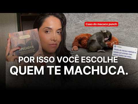 Por isso você escolhe quem te machuca — O experimento que explica suas relações. (MACACO PUNCH)