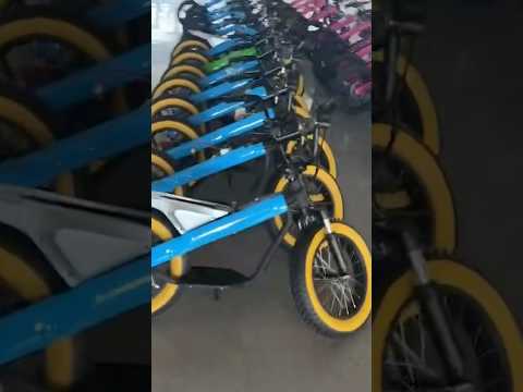 16in electric bicycle 800w 36V15Ah #citycoco #scooter #electricvehicle #balancebike #bicycle