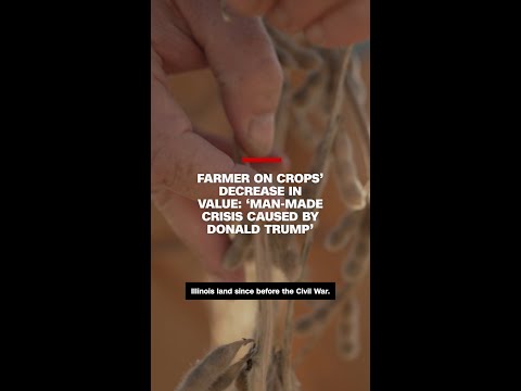 Farmer on crops' decrease in value: 'Man-made crisis caused by Donald Trump'