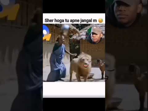 funny video 🤣🤣#viral #shortvideo #tranding #comedy #funny