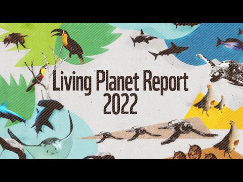 WWF’s 2022 Living Planet Report