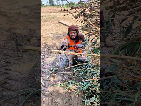 Birds ko nahi marna chaye 🦜🙏 #youtubeshorts #viralvideo #ytshorts