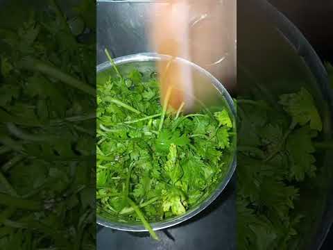 #harichatuney #cookingideas #qawwali #food #song