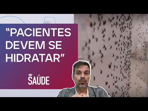 Quais principais sintomas e diagnósticos das arboviroses? | JP SAÚDE