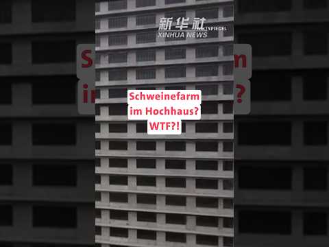 China: Schweine leben im Hochhaus