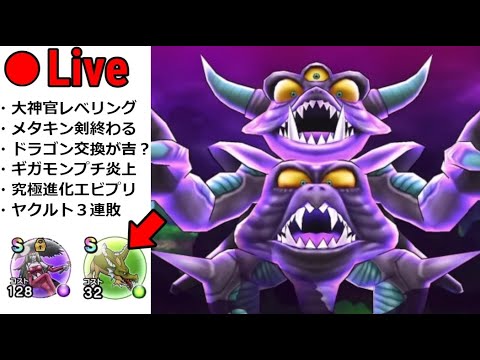 【ドラクエウォーク】大神官育成ライブ！まさかのドラゴン採用で荒れているようですｗｗ