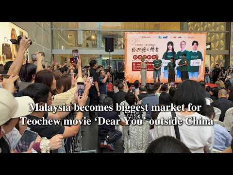 Chinese blockbuster 'Dear You' strikes a chord in Malaysia