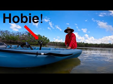 Mike's Coastal Expeditions | Kayak Tours in Naples Florida