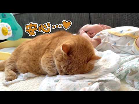 赤ちゃんの隣で安心して眠る愛猫の暮らしを守りたいので対策しました【Jackery 3600 Plus】