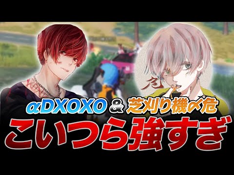 【荒野行動】へんしゅう長が司令塔！？芝刈り機〆危の腰撃ちとαDれんにきの神グレ強すぎて草www