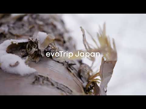 evoTrip Japan