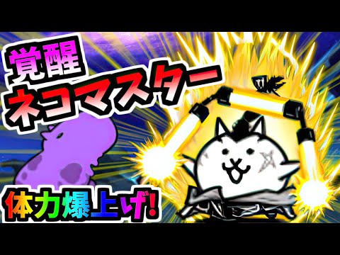 体力60%アップ！妨害も出来て超硬くなった本能解放ネコマスター 性能紹介　【にゃんこ大戦争】