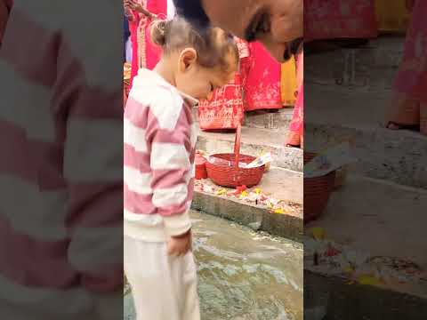 #punjabisong #music #juniorjamboree