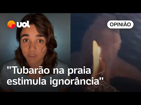 Tubarão no litoral do Rio de Janeiro mostra como a ignorância leva ao medo desnecessário