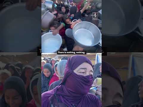Palestinians scramble for food
