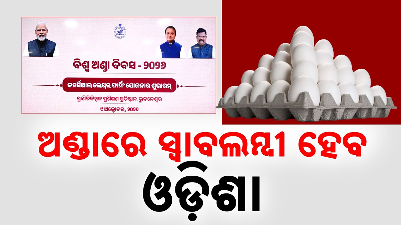 Odisha to Become Self-Reliant in Egg Production; New Policy on AP Model | Argus News