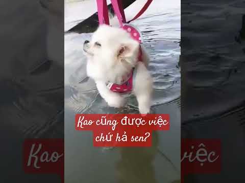 Có làm thì mới có ăn.