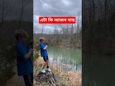 এটা কি আজব মাছ। #new #facts #shortvideos #fish #fishing #fishingvideo #islam #quran #islamic #shorts