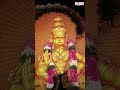 Melodic Devotion Akhilaandamu 🙏 #SwamiyeSaranamAyyappa  #telugudevotionalsongs #devotionalsongs