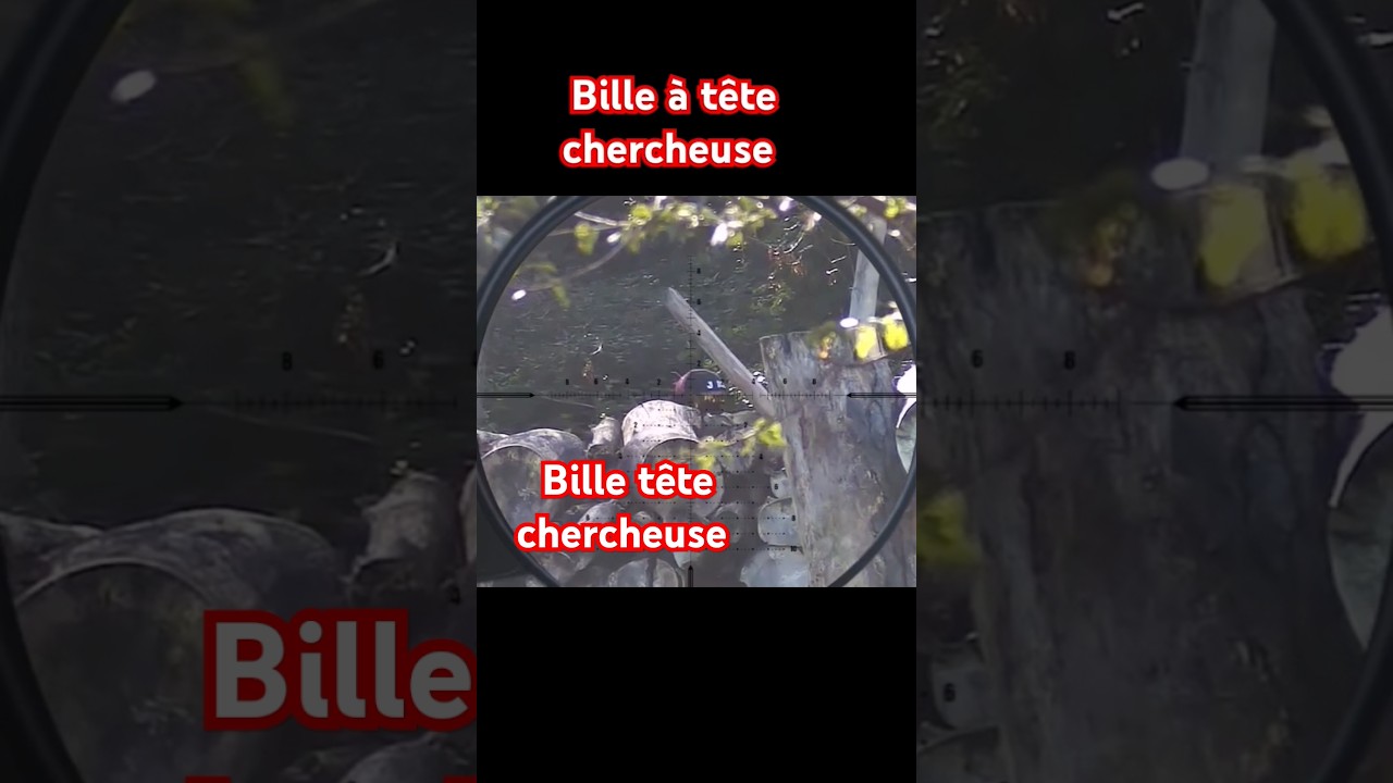 Bille airsoft à tête chercheuse #sniper #airsoft #ghillie