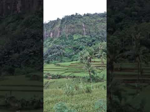 #udara segar #Beras Cianjur #Cianjur Manjur