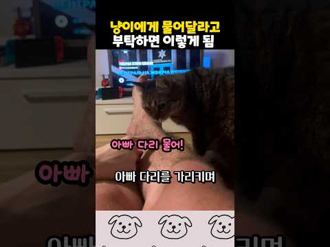 냥이에게 <strong>아빠</strong> 물어달라 했더니
