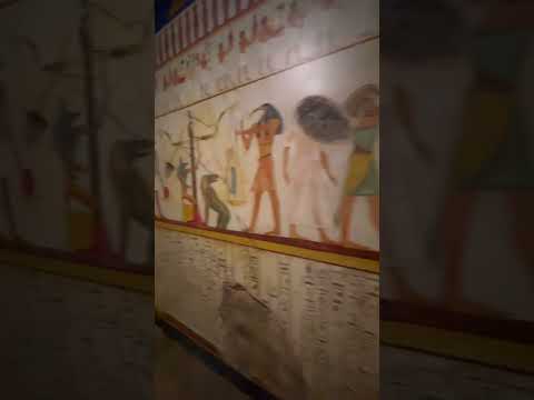 I was not expecting all that to be down here #egyptian #museum #secret #tomb #fascinating