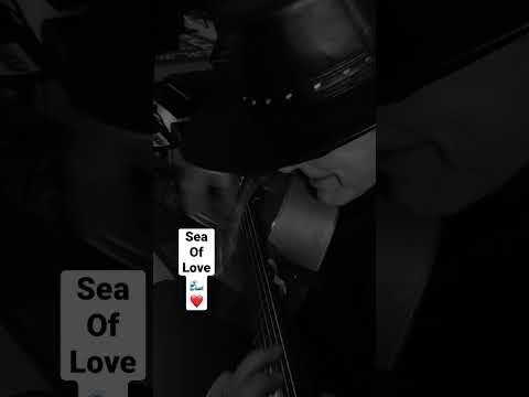 Sea of Love - Spanish Guitar #guitar #music #guitarist #love #shorts #family #solo #spanishguitar