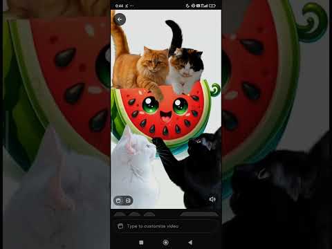 cat & watermelon #memes #cats #animals #cute #kawaii ##sale #promo #viral #fyp #fruit #shortvideo