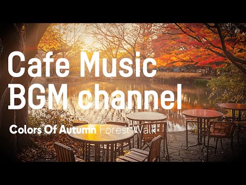 Cafe Music BGM channel - Forest Walk(Official Music Video)