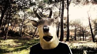 DEER FROM SPACE - Alone