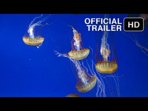The Living Sea'