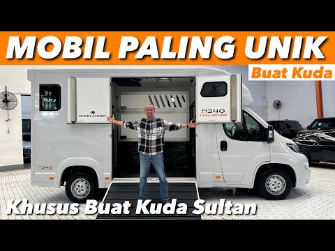 BARU SEKALI LIHAT, MOBIL KHUSUS BUAT KUDA