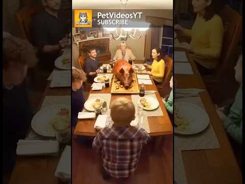 PIG Dinner “SHOCKS” Family! 😱😭
