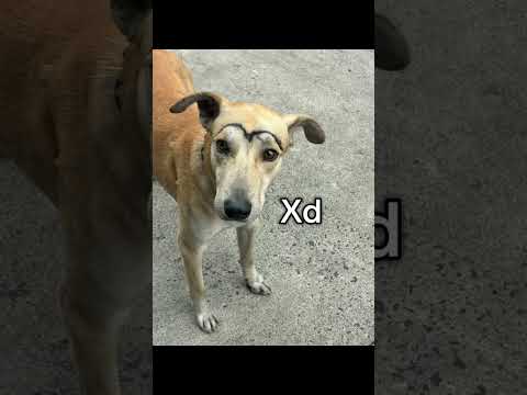 27 de noviembre de 2025