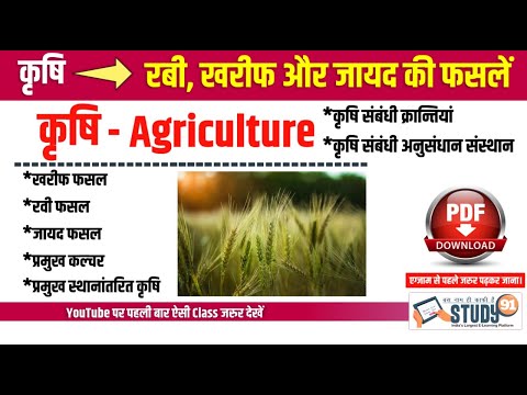 Indian Geography | भारत में कृषि | Indian Agriculture | रबी, खरीफ और जायद की फसलें | Study91
