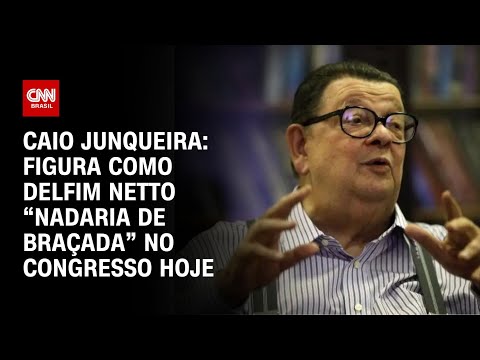 Caio Junqueira: Figura como Delfim Netto “nadaria de braçada” no Congresso hoje | WW