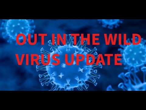 New Research Just Out Reveals Alarming New Risk From A Covid Infection