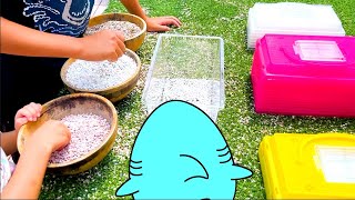 動画サムネイル