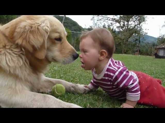 Bir bebek ve köpek tenis topuyla oynarsa