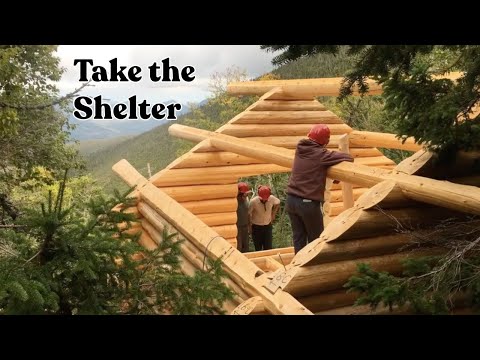 Take the Shelter
