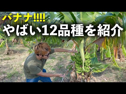 腰の位置でつくバナナが凄すぎる。。。