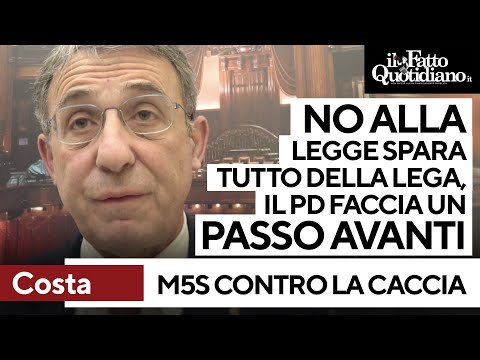 "No alla legge spara tutto della Lega", l'appello di Costa: "Il Pd faccia un passo avanti"