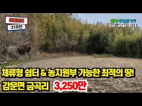 유튜브이미지