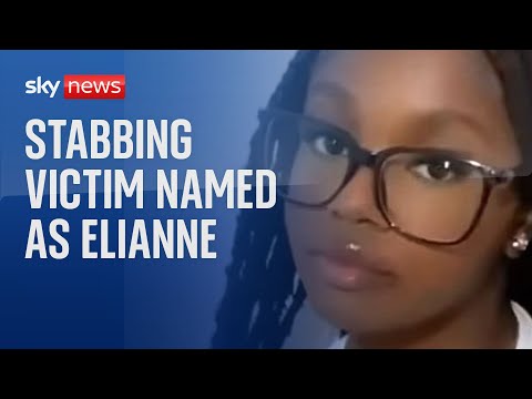 Croydon attack victim named as Elianne Andam