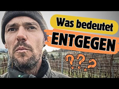Ich komme dir ENTGEGEN! | Was bedeutet 'entgegen'? | Deutsch lernen B1/B2