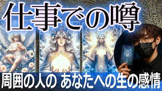 😆職場の人のあなたの噂🌈周囲の人のあなたへの生の感情🌟タロット占い🔮