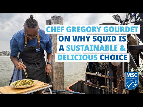 Gregory Gourde, US Ambassador to MSC and “Top Chef” all-star finalist, visits the MSC Certified Squid Fisheries in Rhode Island to learn why certification is sustainable. Through conversations with fishermen and processors, and the preparation of quick and easy squid recipes at the dockside, chef Gregory explains seafood preparation in an easy-to-understand manner, and MSC-certified sustainable squid brings us to the ocean. Has also shown to be useful.