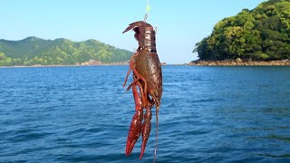 動画サムネイル