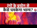 Bhagya Chakra: रंगों से चमकाएं किस्मत, पंडित शैलेन्द्र पांडे की विशेष सलाह | Horoscope | Aaj Tak